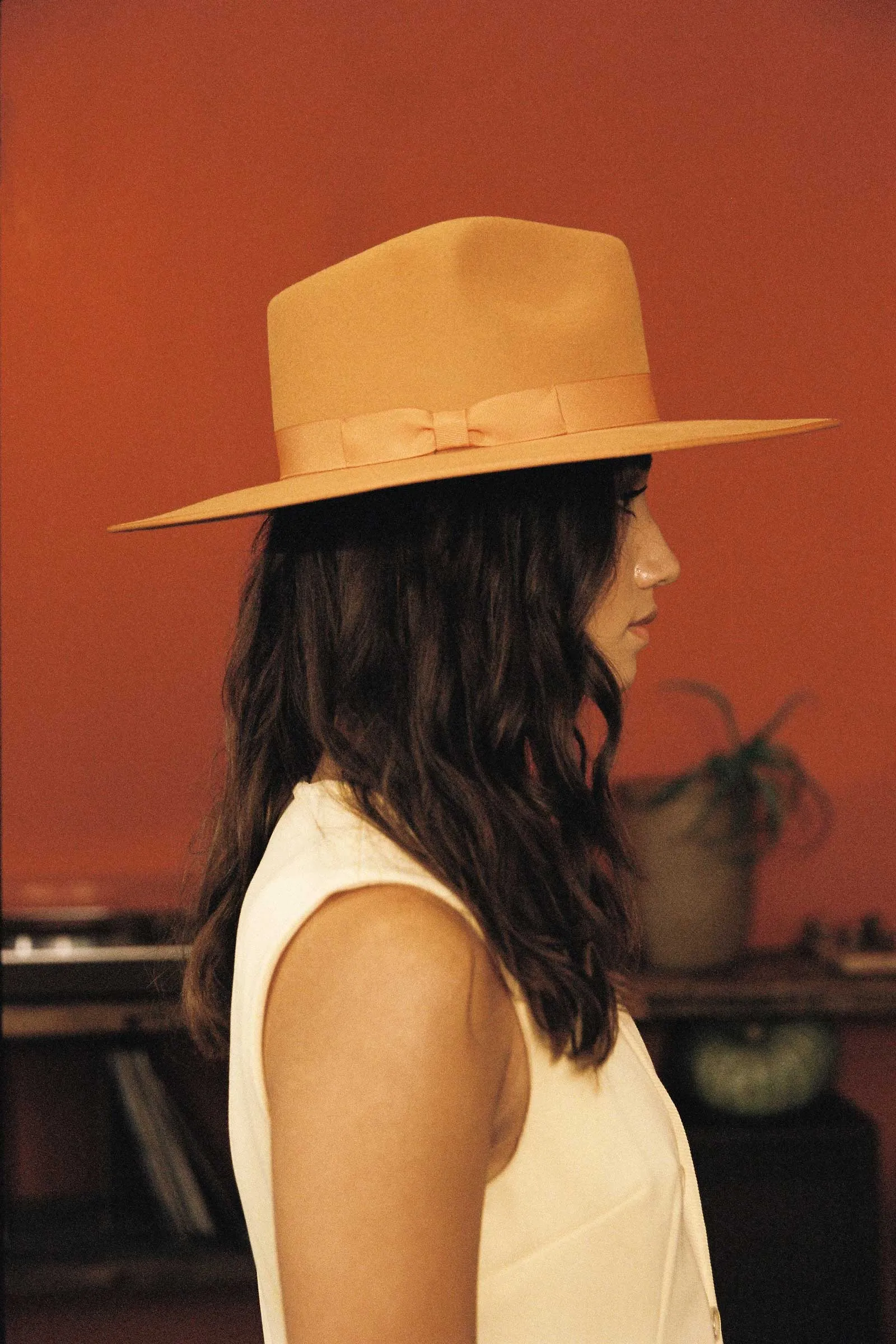 Desert Sun Rancher