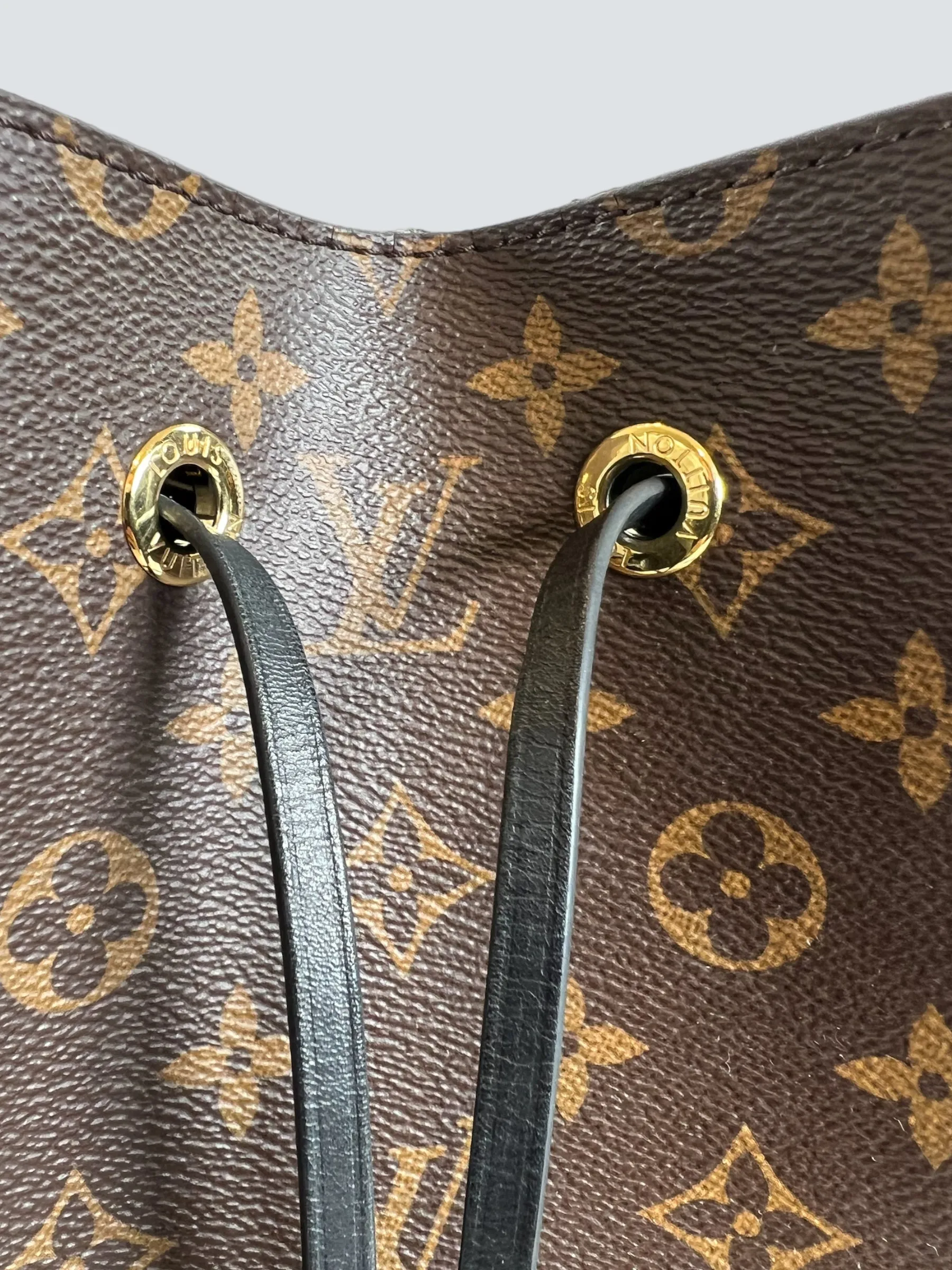 Louis Vuitton Monogram Canvas NéoNoé Bucket Bag