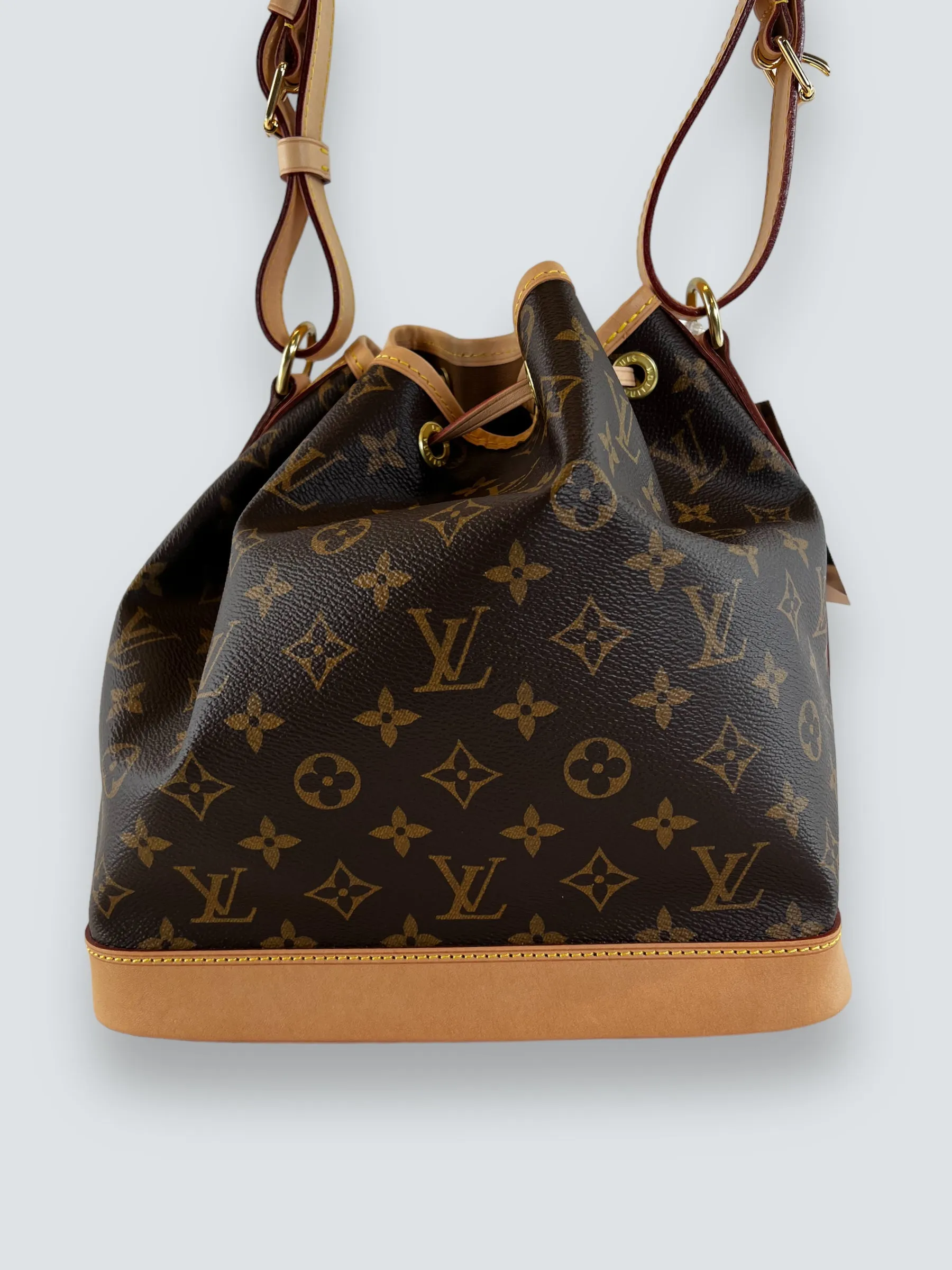 Louis Vuitton Monogram Canvas Petit Noe Bucket Bag