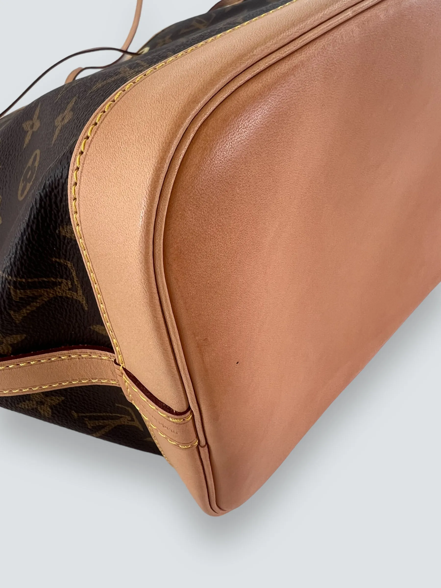 Louis Vuitton Monogram Canvas Petit Noe Bucket Bag