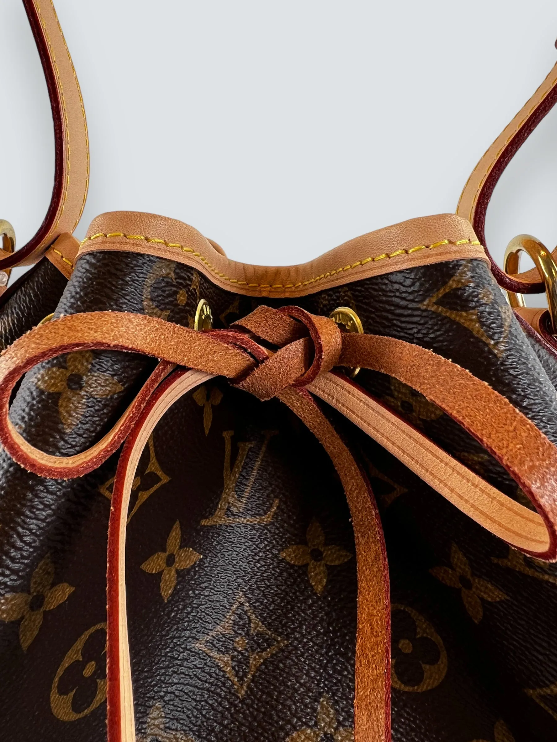 Louis Vuitton Monogram Canvas Petit Noe Bucket Bag