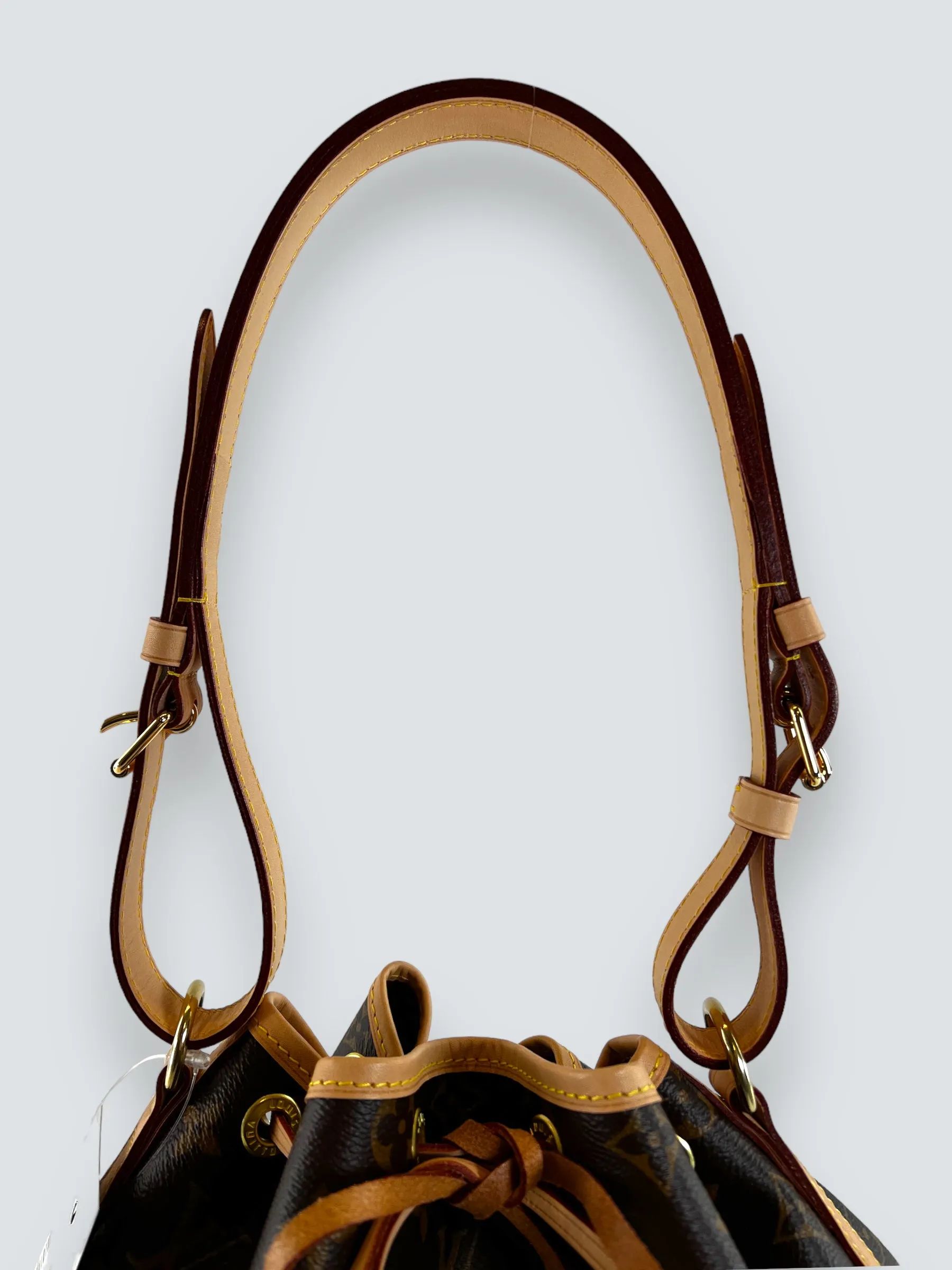 Louis Vuitton Monogram Canvas Petit Noe Bucket Bag
