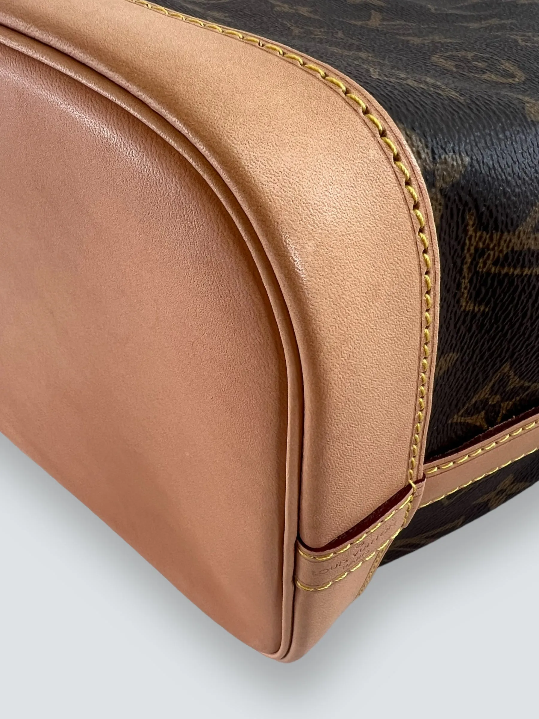 Louis Vuitton Monogram Canvas Petit Noe Bucket Bag