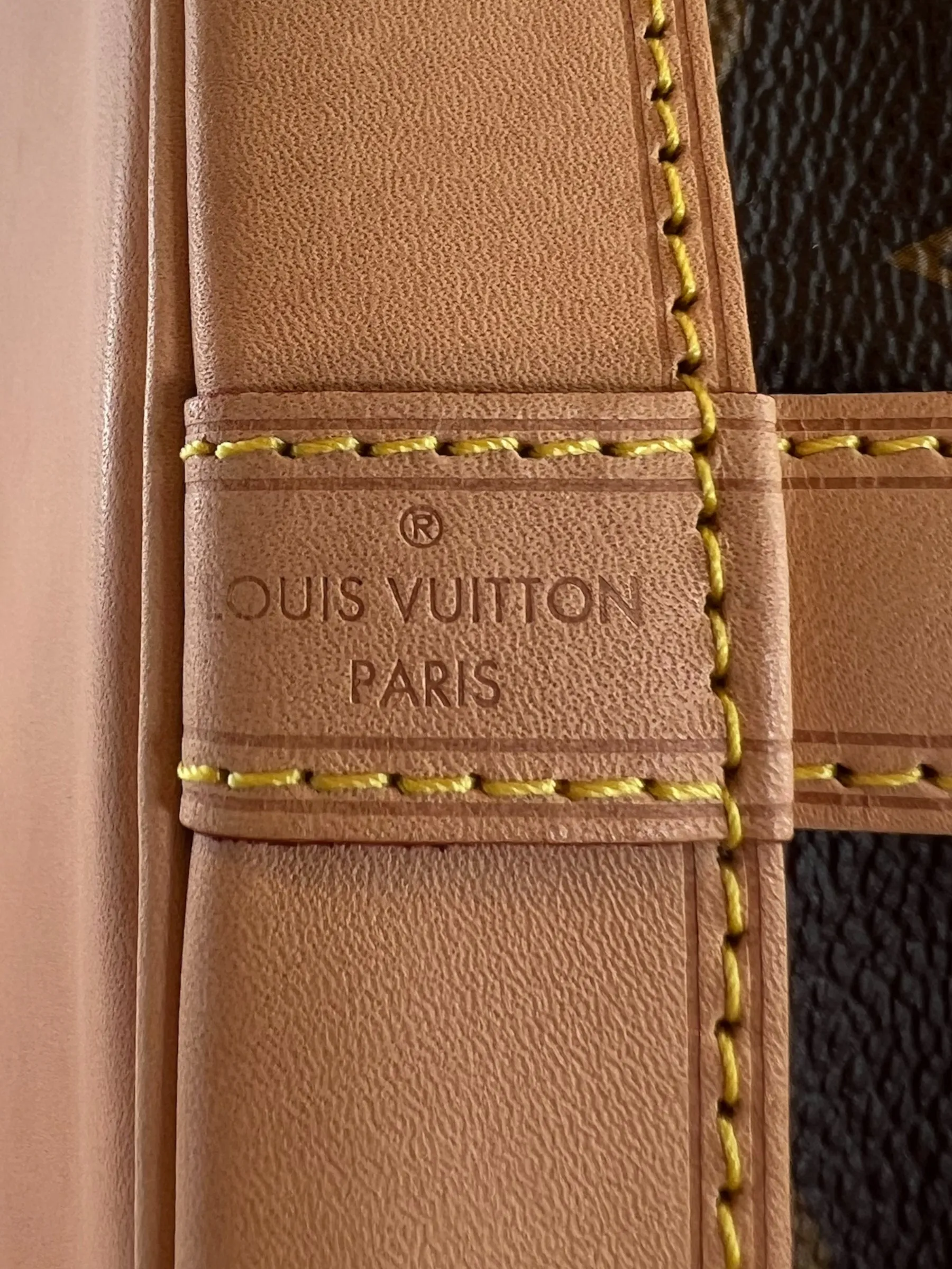 Louis Vuitton Monogram Canvas Petit Noe Bucket Bag
