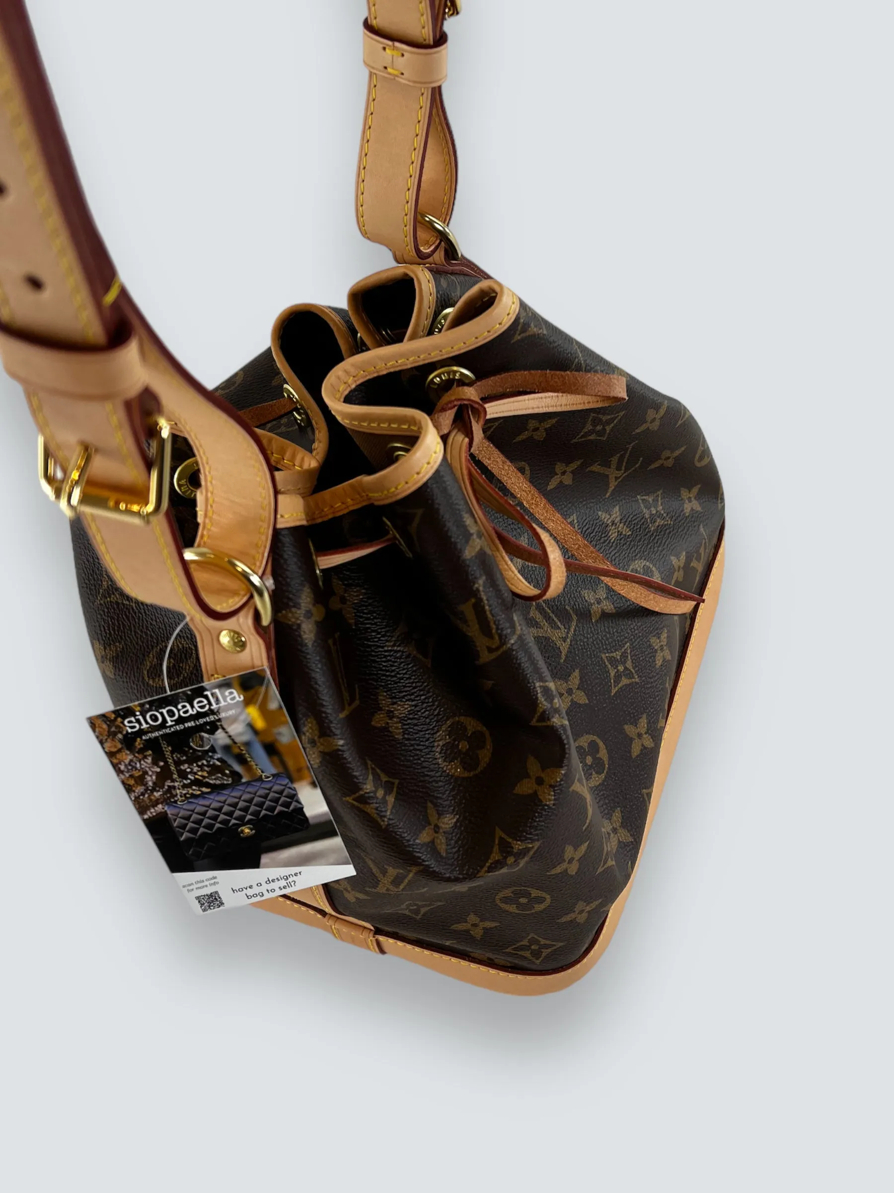 Louis Vuitton Monogram Canvas Petit Noe Bucket Bag