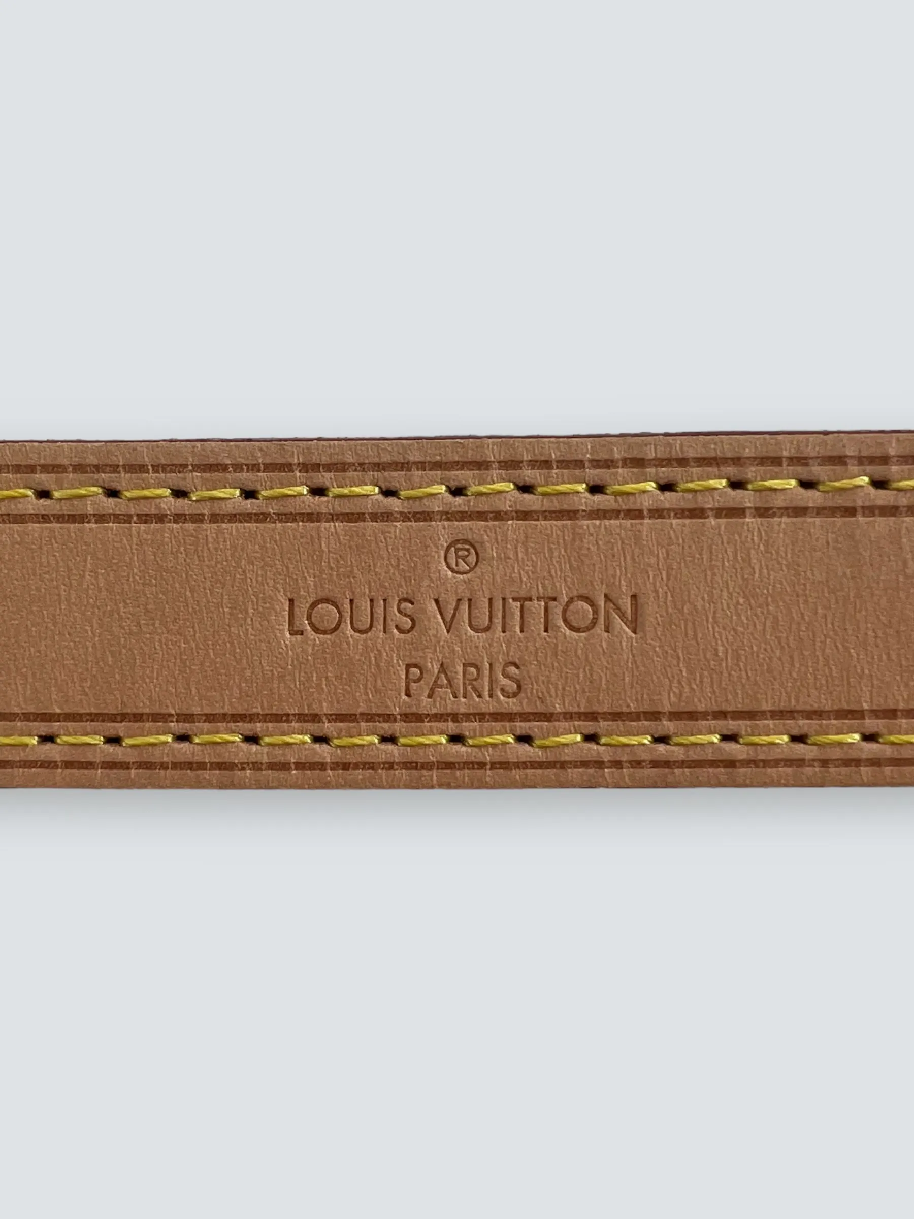 Louis Vuitton Monogram Canvas Petit Noe Bucket Bag