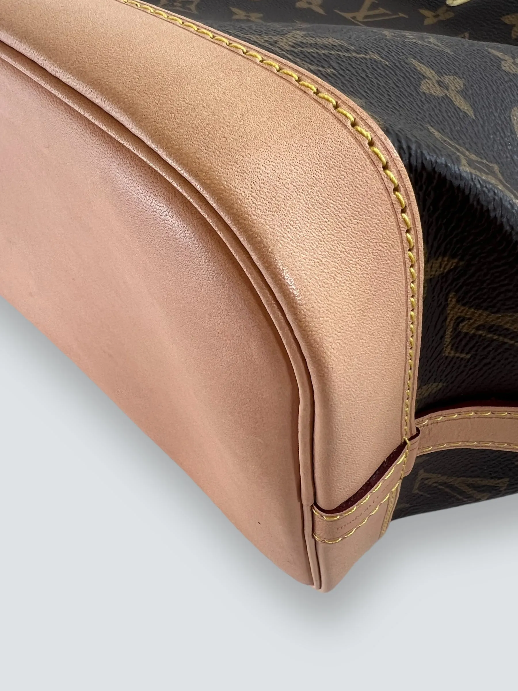 Louis Vuitton Monogram Canvas Petit Noe Bucket Bag
