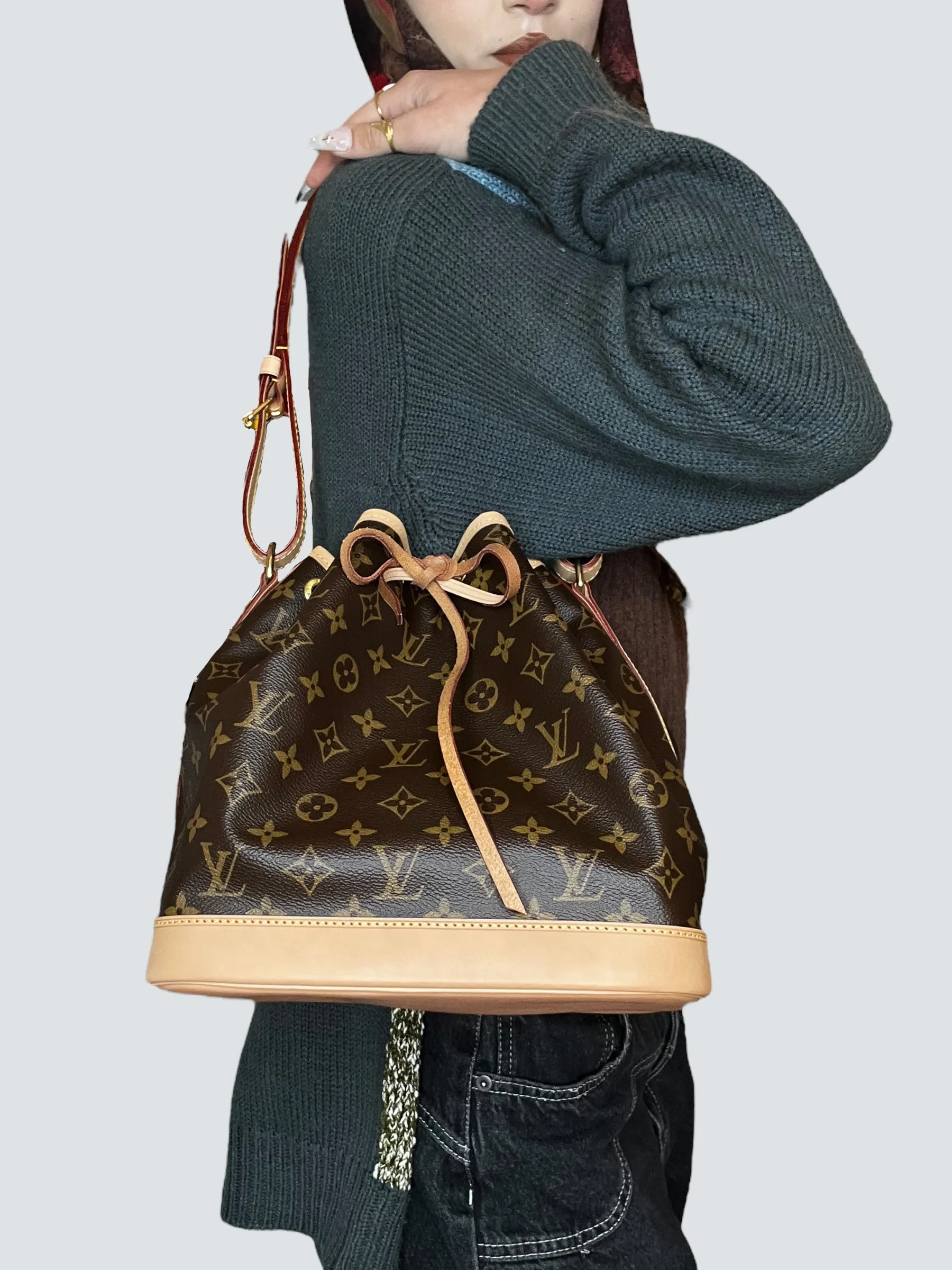 Louis Vuitton Monogram Canvas Petit Noe Bucket Bag