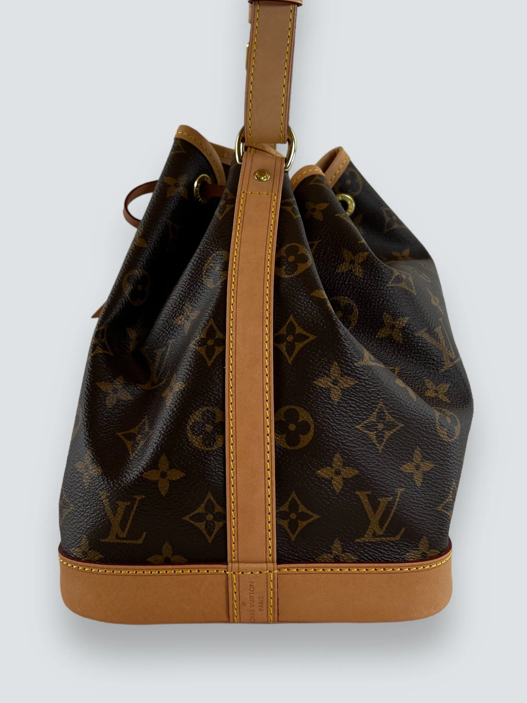 Louis Vuitton Monogram Canvas Petit Noe Bucket Bag