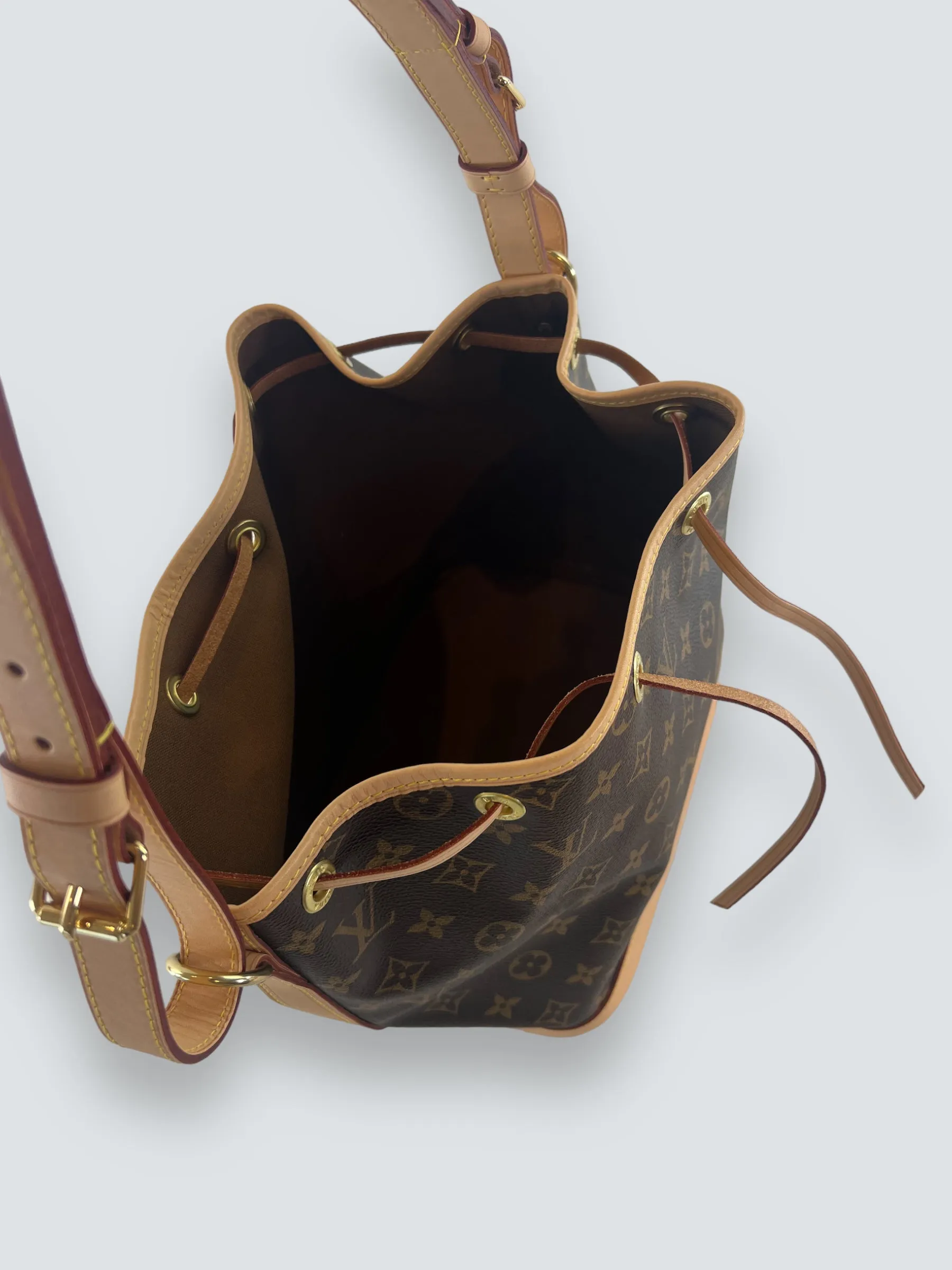 Louis Vuitton Monogram Canvas Petit Noe Bucket Bag