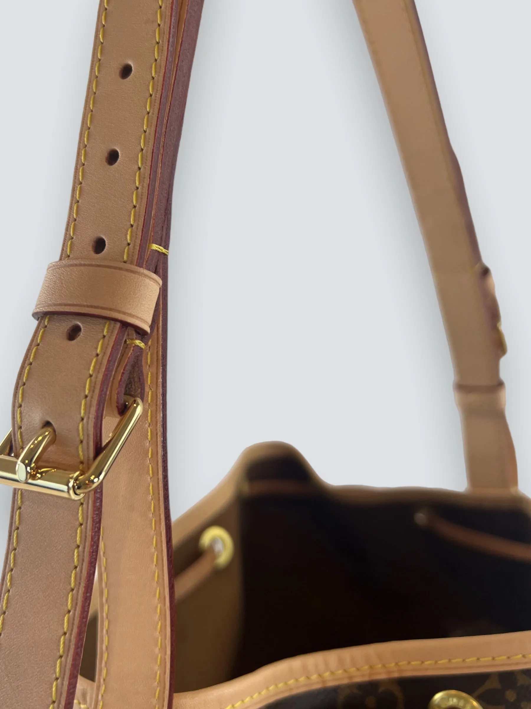 Louis Vuitton Monogram Canvas Petit Noe Bucket Bag