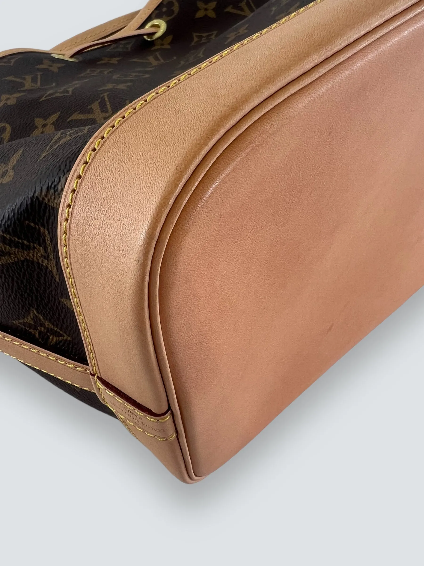 Louis Vuitton Monogram Canvas Petit Noe Bucket Bag