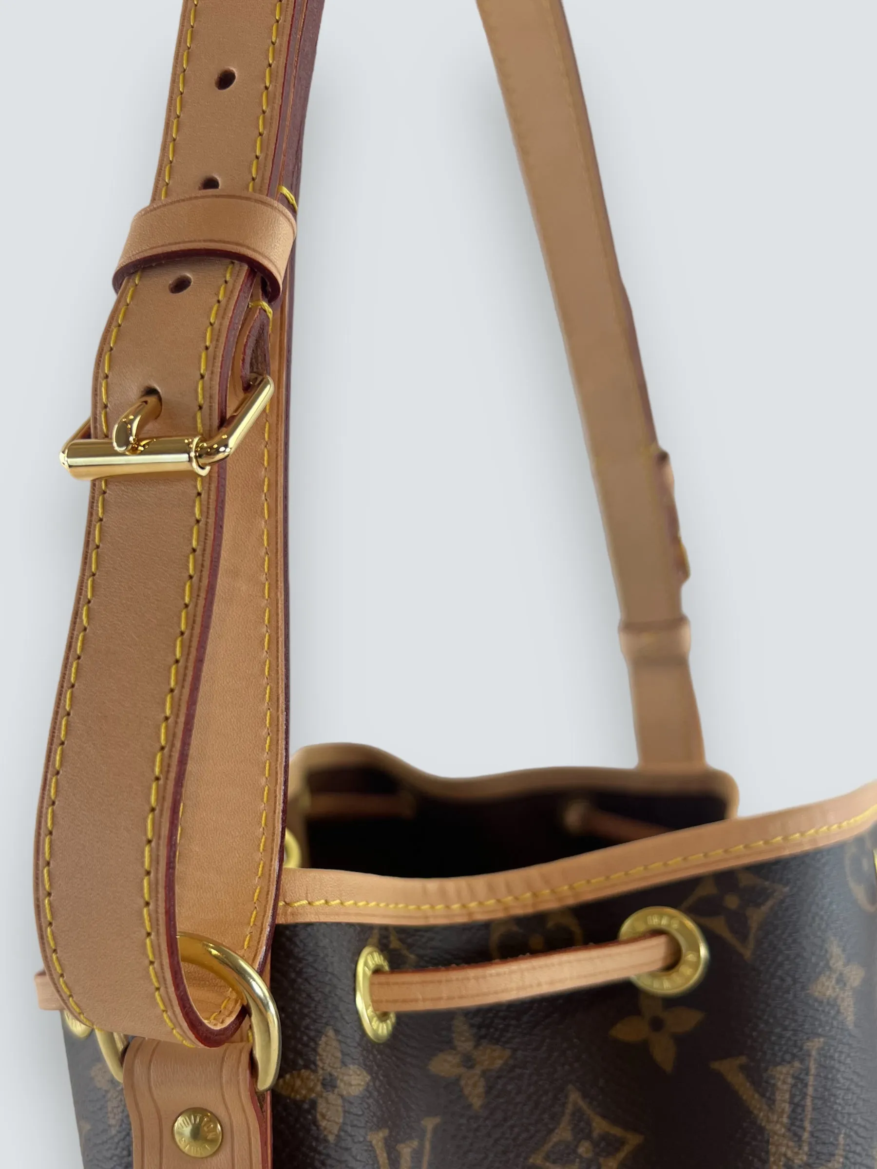 Louis Vuitton Monogram Canvas Petit Noe Bucket Bag